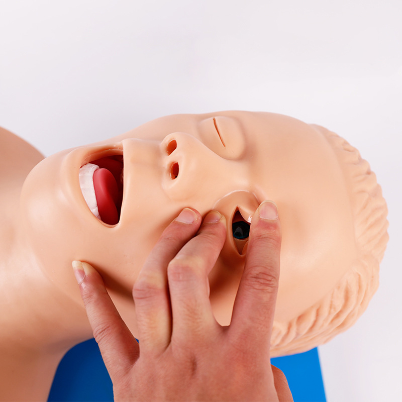 Model nauczania manekina intub – Medical Lab Management recenzja i cena