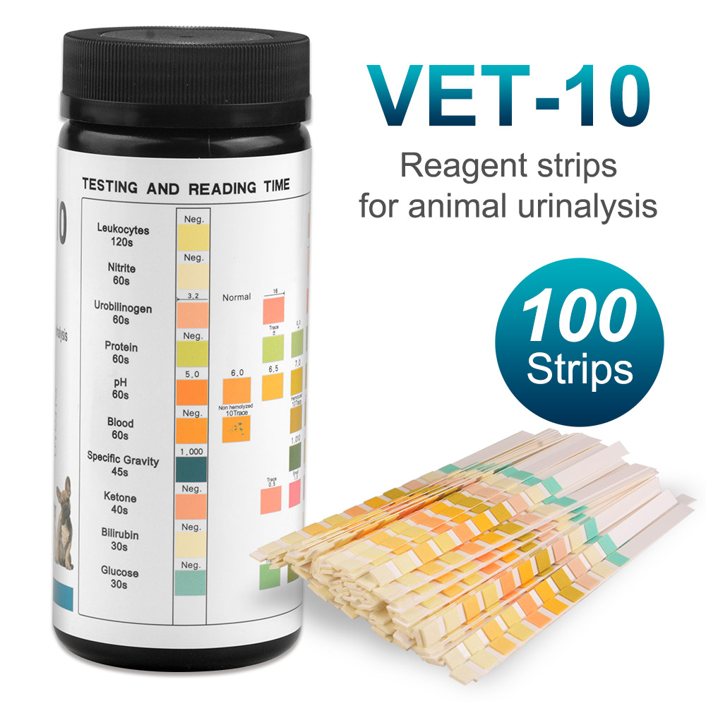 10 parametrów Paski testowe do – Urinalysis Reagent Strip recenzja i cena